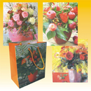Geschenktasche 18 x 23cm, DAILY, 4fach sortiert