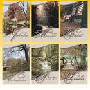 Trauerkarte 11,5 x 17cm, 6 fach sortiert