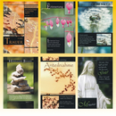 Trauerkarte 11,5 x 17cm, 6 fach sortiert