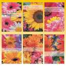 Geburtstagskarte 11,5 x 17cm, 8 fach sortiert