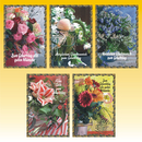 Geburtstagskarte 11,5 x 17cm, 5 fach sortiert, mit Goldrand - zum Sonderpreis!