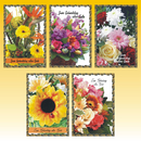 Geburtstagskarte 11,5 x 17cm, 5 fach sortiert, mit Goldrand - zum Sonderpreis!