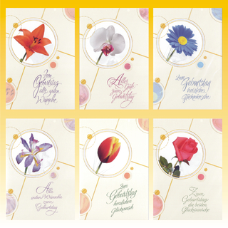 Geburtstagskarte 11,5 x 17,0cm, 8 fach sortiert