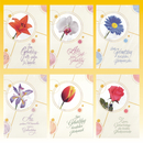 Geburtstagskarte 11,5 x 17,0cm, 8 fach sortiert