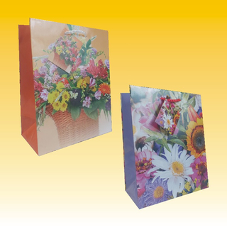 Geschenktasche 26 x 32cm, Blumen, 2 fach sort.
