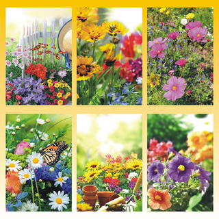 Blankokarte 11,5 x 17,0cm, 6 fach sortiert, Blumen