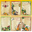 Geburtstagskarte 11,5 x 17 cm 6 fach sortiert