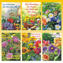 Geburtstagskarte 11,5 x 17 cm 6 fach sortiert