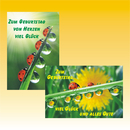 Geburtstagskarte 11,5 x 17 cm 6 fach sortiert