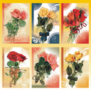 Blankokarte 11,5 x 17 cm 6 fach sortiert