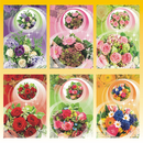 Blankokarte 11,5 x 17 cm 6 fach sortiert