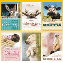 Geburtstagskarte 11,5 x 17 cm 6 fach sortiert