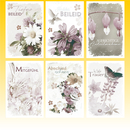 Trauerkarte 11,5 x 17cm, 6 fach sortiert