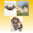 Geschenktasche 18 x 23cm, Tiere, 3  fach sortiert