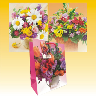 Geschenktte 18 x 23cm, DAILY - Design, 3 fach sortiert